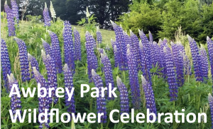 Awbrey Park Wildflower Celebration 2021