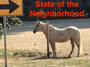 State of the Neighborhood Speech